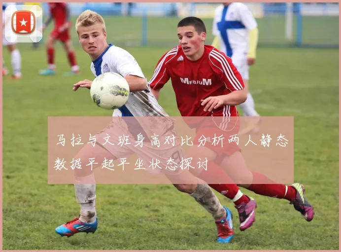 马拉与文班身高对比分析两人静态数据平起平坐状态探讨